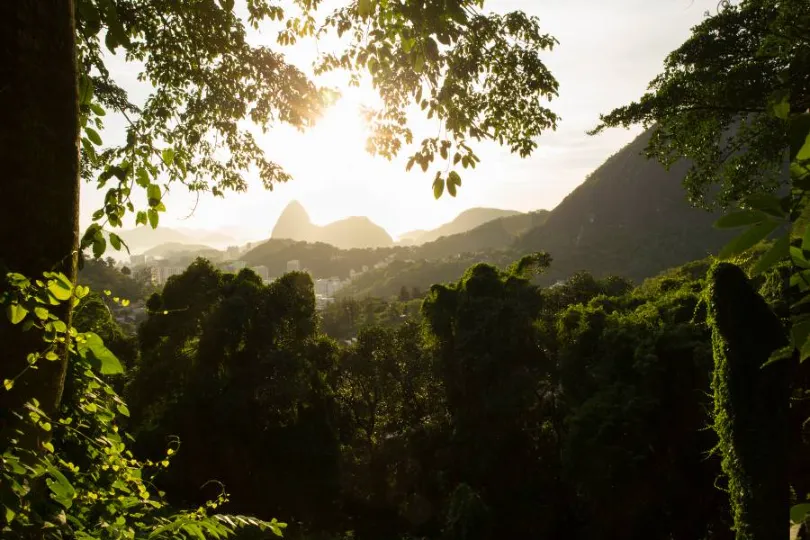 Paisagem verdejante do Parque Nacional da Tijuca com a silhueta do Pão de Açúcar e outras montanhas ao longe, banhada pela luz do sol.